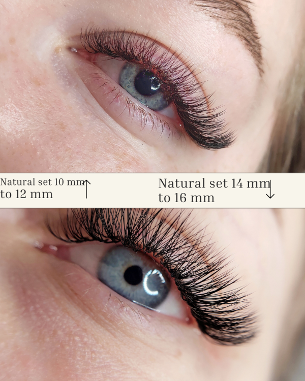 Voilasshh DIY Eyelash Extension Kit with 156 Pcs Lash Clusters